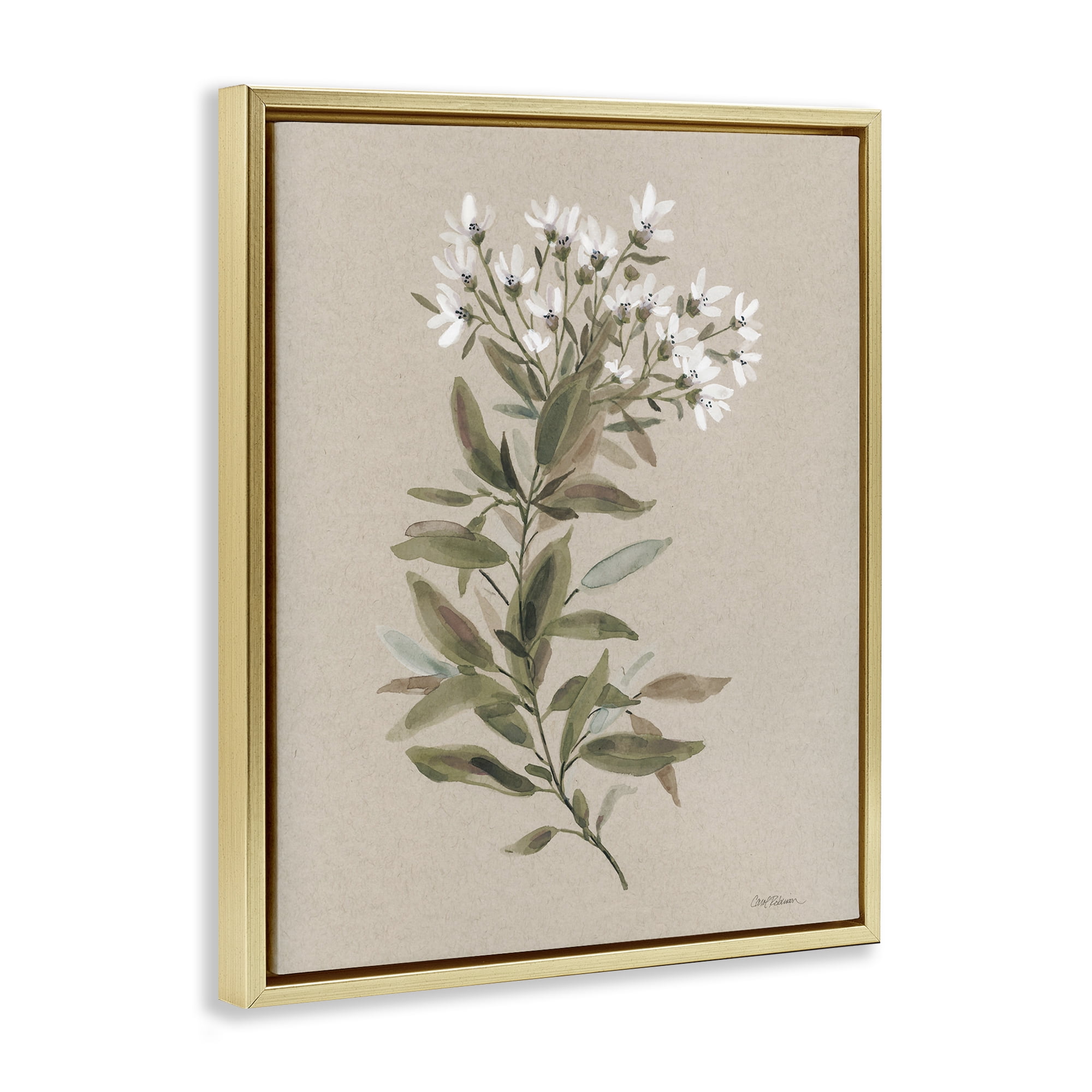 Stupell Industries Watercolor Wildflower Sprig Botanical & Floral Painting Gold Floater Framed Art Print Wall Art, 17 x 21