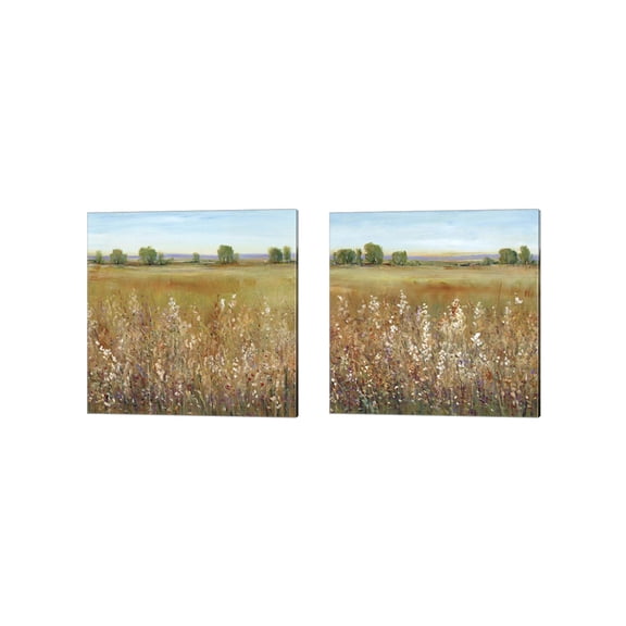 Great Art Now Abundance of Wildflowers by Timothy O'Toole 2 Piece Canvas Art Set Each 14W x 14H