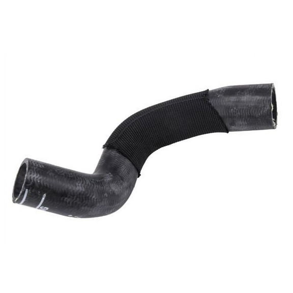 Radiator Outlet Hose