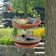 thumbnail image 3 of GIXUSIL Bird Feeders and Bird Bath Deck Bowl Spa Mount Bird Bath Unheated with Lightweight Detachable, Oriole Drinking Feeder, Adjustable Heavy Duty Sturdy Steel, Great for Attracting,Brown, 3 of 7