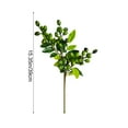 thumbnail image 3 of Artificial Plants Olive Branch in Glass Vase, 15.35" Fake Plant Greenery Stems with Olive Branches Faux Eucalyptus Stems, for Centerpieces Decoration,Home Decor,Coffee Table Decor, 3 of 6