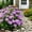 Purple, variant on Outdoor Artificial Daisies Flowers UV Resistant Faux Flower Bouquets Greenery Plants for Hanging Planter Porch Garden Home Indoor Outdoor Decor Spring Summer Decoration Floral Arrangement