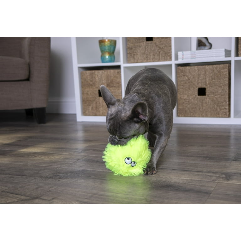 Go top dog ball