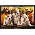 thumbnail image 3 of English Bulldogs and a Pumpkin, Framed Art Print Wall Art by Lilun Sold by Art.Com, 3 of 6