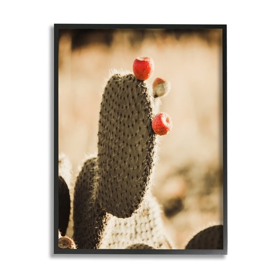 Stupell Prickly Pear Cactus Fruits Botanical & Floral Photography Black Framed Art Print Wall Art