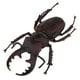 thumbnail image 5 of 2 piezas modelo de de para accesorios de biología animal de juguete de para niños, 5 of 8