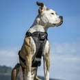 thumbnail image 6 of Kurgo Tru-Fit Smart Harness, Front D-Ring for No Pull Training, Includes Dog Seat Belt Tether, Black, Small, 6 of 10