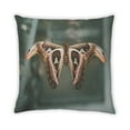 thumbnail image 2 of Ahgly Company Insects Butterfly Indoor Throw Pillow, 18 inch by 18 inch, 2 of 6