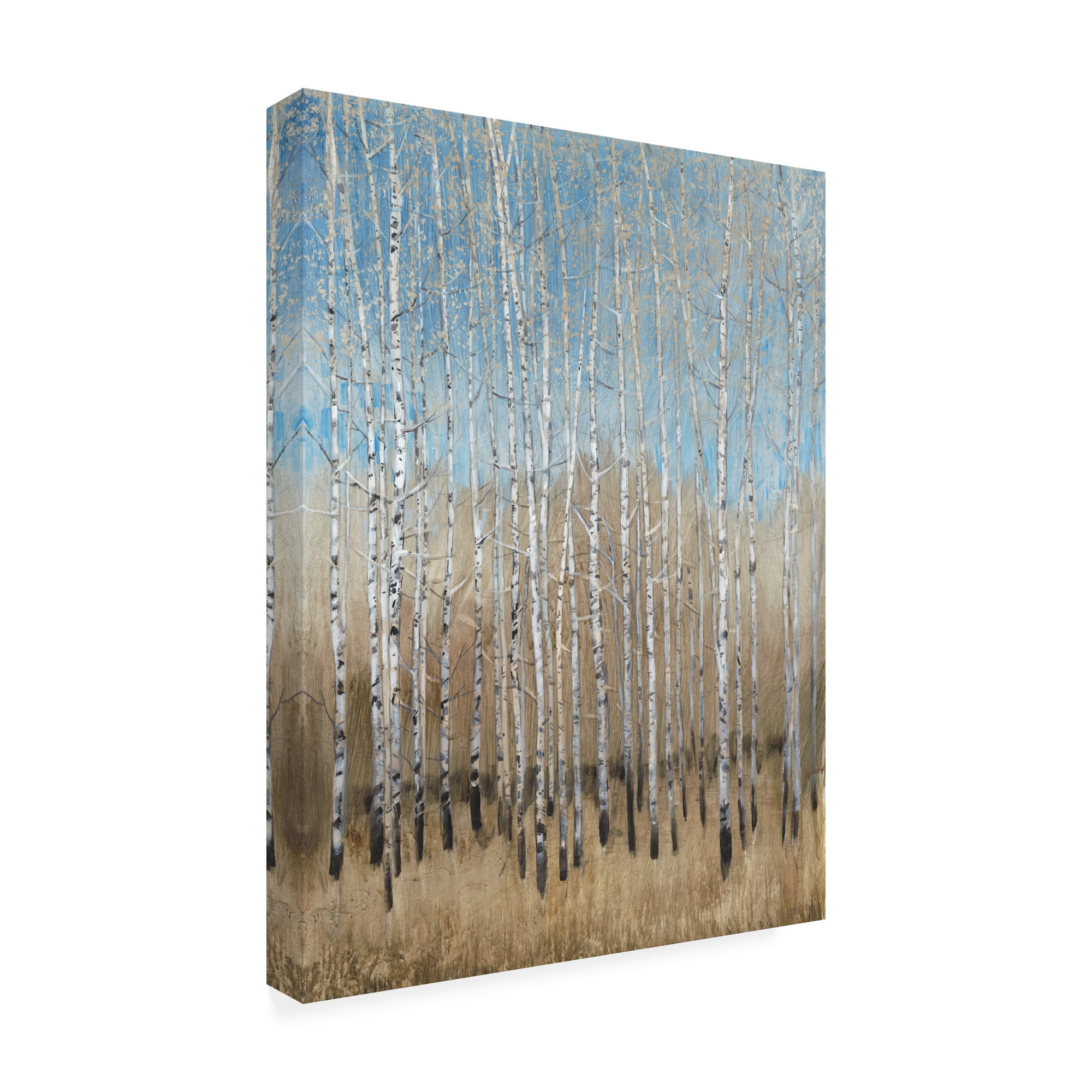 Trademark Fine Art 'Dusty Blue Birches I' Canvas Art by Tim OToole