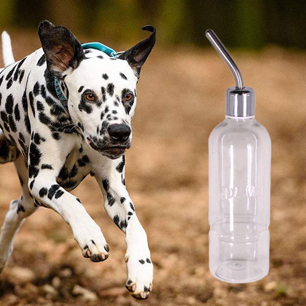 Pet Stainless Steel Ball Hanging Waterer Hamster Dog Automatic Water