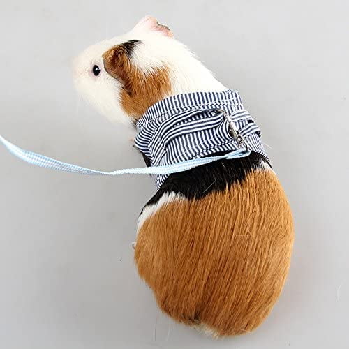 Gerbil leash deals