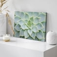 thumbnail image 3 of Wall26 Canvas Print Wall Art Green Rose Succulent Wall Print Nature Wilderness Photography Home Decor Realism Floral Botanical Southwest Rustic Countryside Desert Landscape for Bedroom - 32"x48", 3 of 5
