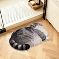 thumbnail image 5 of Cute Cat Shaped Floor Mat – Soft Non-Slip Absorbent Rug for Bathroom, Entryway & Balcony, Fluffy & Easy Clean, 5 of 6
