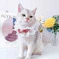 thumbnail image 5 of Cat Wedding Costume, Princess Cat Dress Bandana Collar Veil Lace Bibs for Birthday Party, 5 of 8