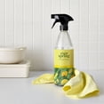 thumbnail image 3 of Lemon & Mint All Purpose Cleaner - 28 fl oz - Everspring, 3 of 9