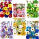 thumbnail image 5 of Bolsa de material en relieve con flores secas Bolsa combinada con flores prensadas Pegatina de muestra de hoja real con flores reales, 5 of 5