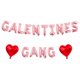 thumbnail image 1 of Guirnalda de Globos YNITSED Galentines Gang 40 cm Oro Rosa, 1 of 7