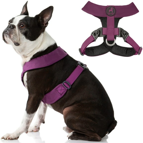 Gooby Comfort X Harness Dual Snap - Purple, Small - Comfort X Harness Dual Snap Rotational Buckles with Patented Choke-Free X Frame - Harness for Small Dogs and Medium Dogs for Outdoor Use