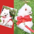 thumbnail image 3 of Arnés Con Lazo Dulce Para Perro Y Gato, Correa Para Cachorro, Arneses Para Perros Pequeños, Chaleco Para Chihuahua, Yorkshire, Suministros Para Perros Vogacara PT002368-04, 3 of 6
