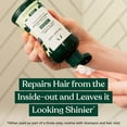 thumbnail image 2 of The Body Shop Moringa Shine & Protection Conditioner For Dull Hair Vegan 8.4 FL OZ, 2 of 5