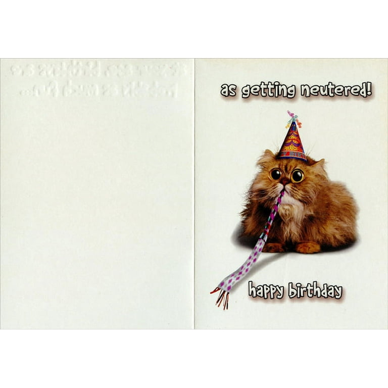 Designer Greetings As Much Fun Cat with Party Hat and Horn Funny