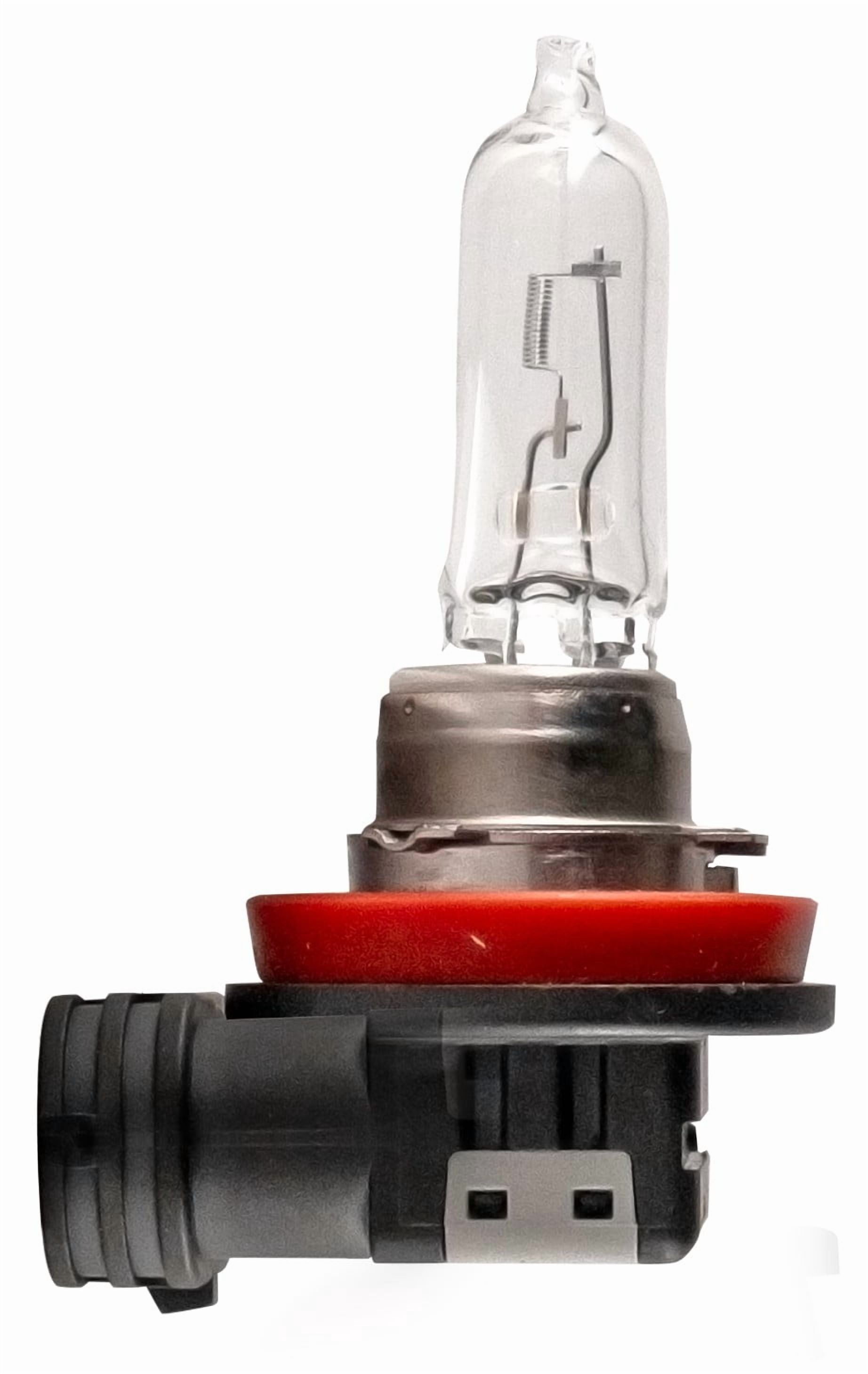 EverStart H9 Halogen Headlight Bulb, 1 pack, Compatible with Multiple Cars