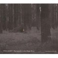 thumbnail image 1 of Twilight: Photography in the Magic Hour, 1 of 1