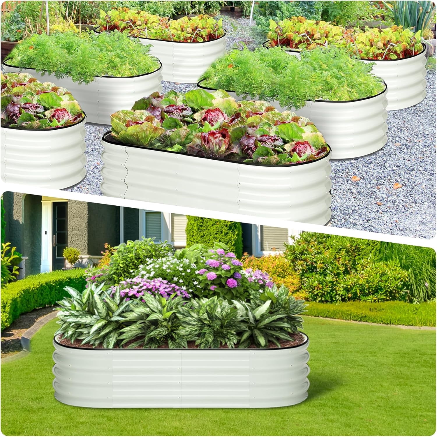 Galvanized Metal Raised Garden Bed 2-Pack 4.5x2x1 ft, White Oval Outdoor Planter Box Kit with Open Bottom Drainage for Growing Vegetables, Plants & Flowers in Backyard or Patio