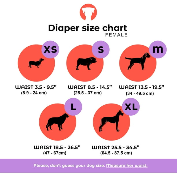 Dog hotsell diaper sizes
