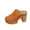 Brown, variant on Summer Sandals Women Chunky Heel Closed Toe Slip-on High Heel Sandals Spring Summer Casual Leisure Dressy Daily Shoes Outerwear