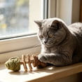 thumbnail image 5 of Catnip and Silvervine Chew, Natural Fishbone Chew Toy for Cats, Fishbone-Shaped Cat Dental Toy for Chewing, Licking, Pawing, Boredom Relief & Enrichment for Cats&nbsp;, 5 of 7