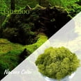 thumbnail image 2 of Moss Preserved Artificial Moss 8.8 oz Natural Fresh Green Moss for Craft Arts Floral Project Wall Decor Table Decor Wedding Centerpieces Garden Terrariums Decoration, 2 of 6