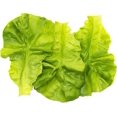 thumbnail image 1 of 5 Pcs Simulation Lettuce Leaves Artificial Vegetables Fake Green Lettuce Props for Home Kitchen Cabinet Desk Shops Decor, 1 of 5