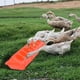 thumbnail image 5 of Alimentador De Aves De Corral Con Tapa Abatible, Alimentador De Aves, Comedero Zulema Alimentador de aves de corral, 5 of 8