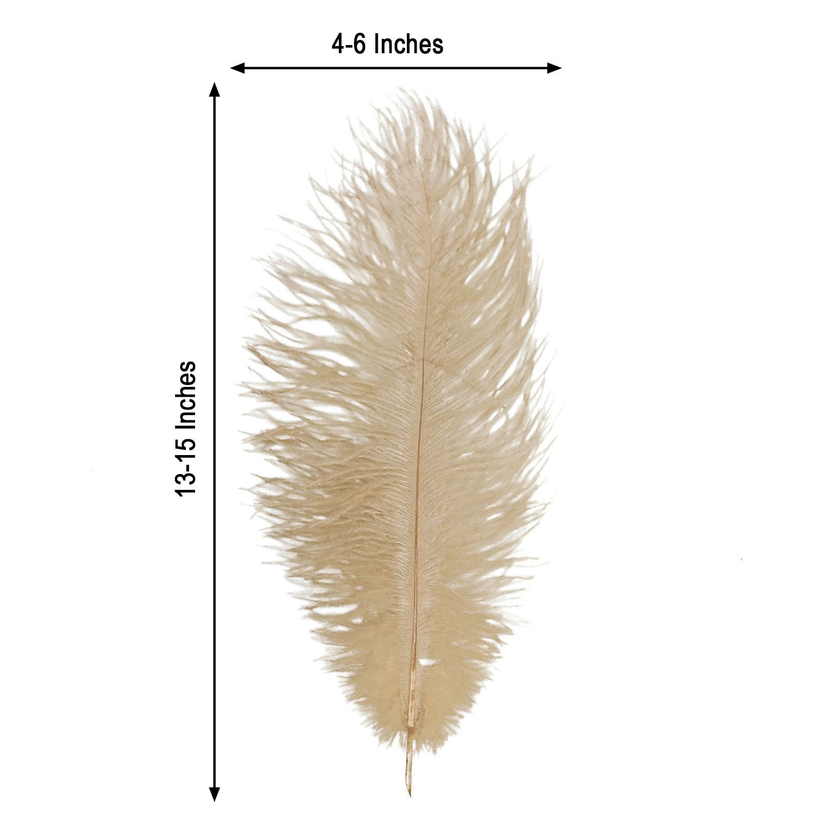 Balsa Circle 12 Pieces 13"-15" Beige Authentic Ostrich Feathers Centerpieces