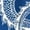 ROYAL BLUE, variant on Instant Message - Chinese Dragon White Long Sleeve Graphic T-Shirt