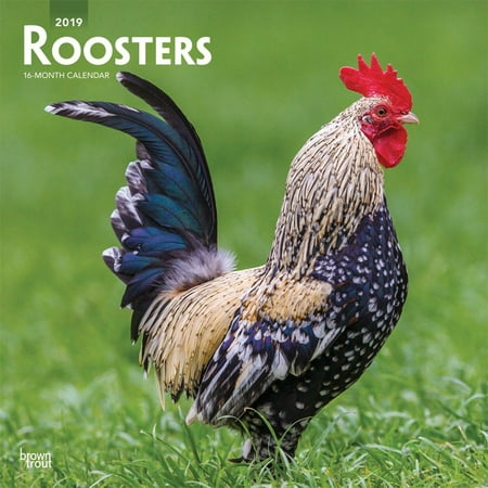 2019 Roosters Wall Calendar, by BrownTrout