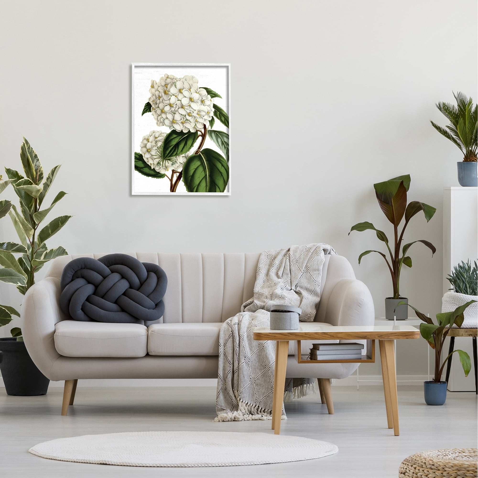Stupell Industries Begonia Opuliflora Flower Stem Vintage Botanical Study,24 x 30, Design by Lettered and Lined