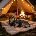 thumbnail image 6 of GASTROPOD 2026 New Breathable Dog Shirt for Thunderstorm, Dog Anxiety Vest Jacket Warp, Puppy Calming Coat Anxiety Relief for Indoor, Outdoor, Walking, Travel, Resting, 6 of 6