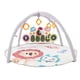 thumbnail image 1 of Estera De Gimnasio Para Piano Para Bebé, Educación Temprana, Cognición Cerebral, , Coordinación Mano-ojo, Iluminación Suave, Gimnasios Musicales Para Bebés, Esteras, 1 of 7