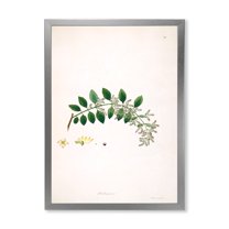 Designart 'Ancient Plant Life XVIII' Farmhouse Framed Art Print