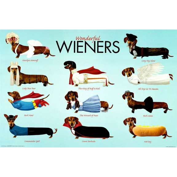 Wonderful Wieners Dachshund Poster 16x24 16inx24in Multi Color Rectangle Bad Dog Posters