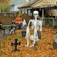 thumbnail image 4 of 7.8ft/240cm Halloween Giant Skeleton Poseable Large Full Body Skeleton with Movable Joints for Indoor Outdoor Halloween Decor, 4 of 16