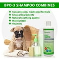 thumbnail image 2 of Vet Solutions BPO 3 Shampoo 3% Benzoyl Peroxide (16 oz), 2 of 7