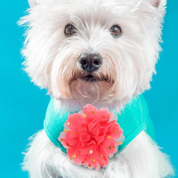 ELAYARD 10Pcs Fabric Dog Collar Flowers with Ideal for Pet Collar Decoration