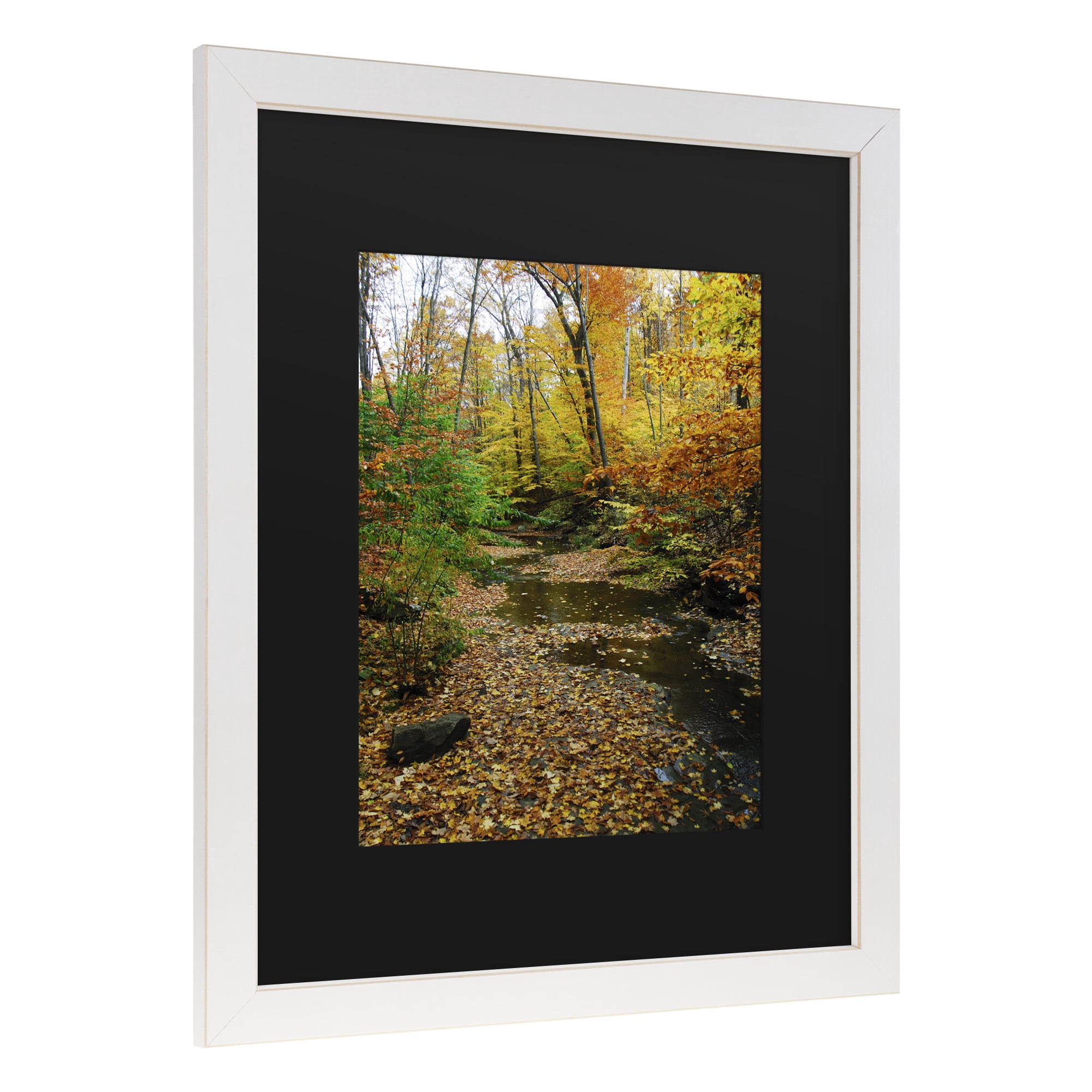 Trademark Fine Art 'Autumn Stream' Canvas Art by Kurt Shaffer