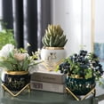 thumbnail image 2 of Perabella Happy 60th Birthday Gift for Women, Cool Gifts for Grandma, 3 Succulent Pots Home Décor, 2 of 9
