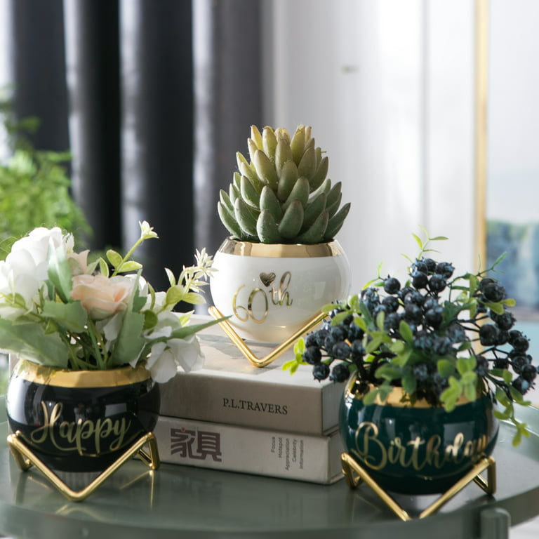 Perabella Inspirational Gifts for Women, Motivational Spiritual Gifts for  Female Friends-3 Succulent Pots
