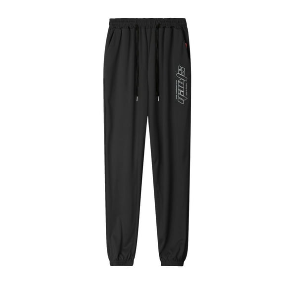 Men's Summer Thin Ice Silk Quick Dry Pants - Harlan Style, Polyester, Sports/Leisure, M-XXXXL, Elastic Waist