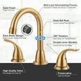 thumbnail image 3 of Wowow 2-Handle 6" and 8" Widespread Gold Lavatory Faucet with Supply Hoses & Drain Assembly, 3 of 5